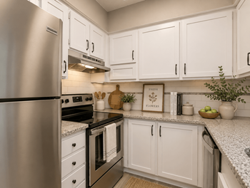 Stainless steel appliances